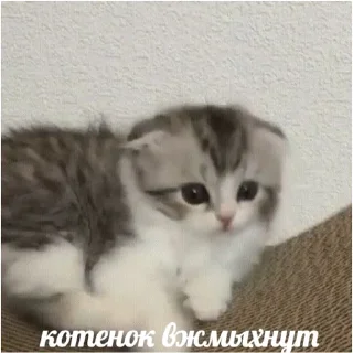 😳