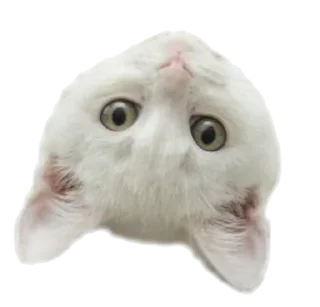 🙃