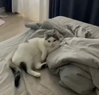 🧐