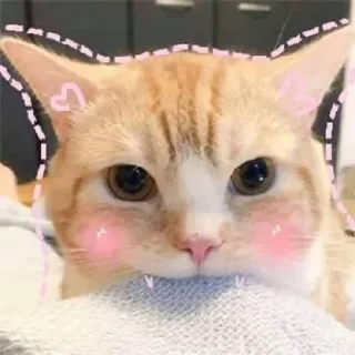 ☺️