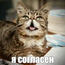 👍