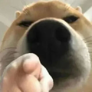 😡