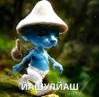 😼