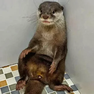 😳