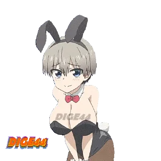 🐰
