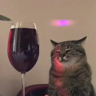 🍷