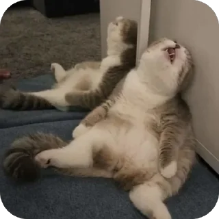 😩