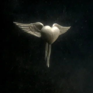 🕊️