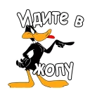 👉