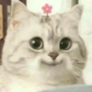 😛