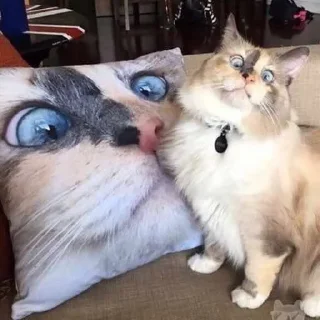 😱