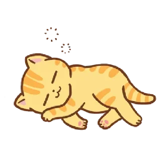 🐱