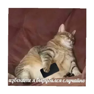 😴