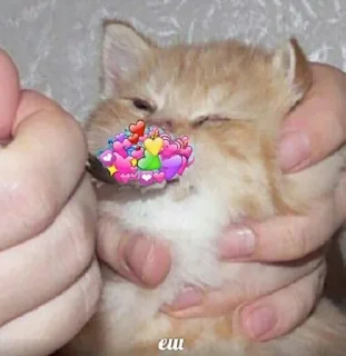 ❤️