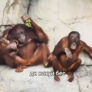 😁