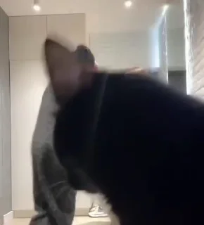 😳