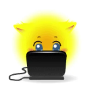 🌟