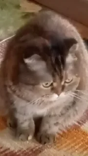 🤨