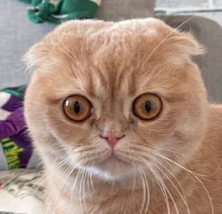 😳