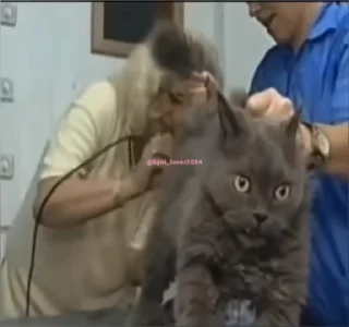 🥺