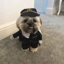 🐶