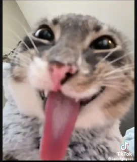 🤩