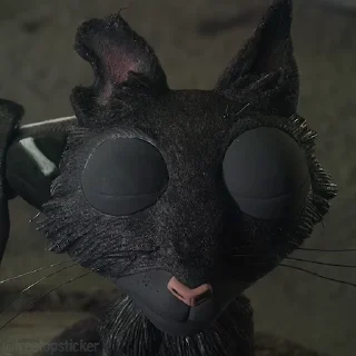 🐈‍⬛