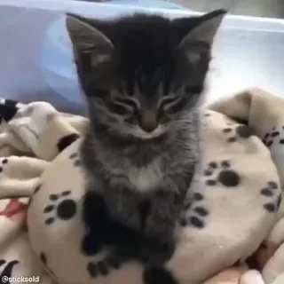 😵‍💫