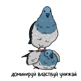 🕊