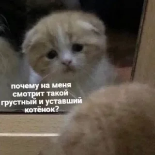 😓