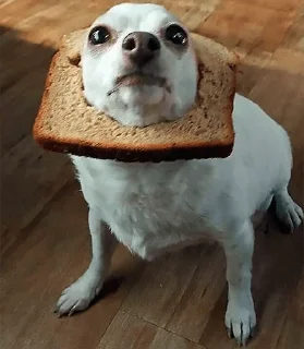 🍞