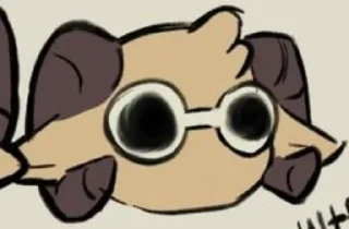 👓