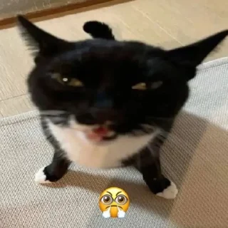 😤