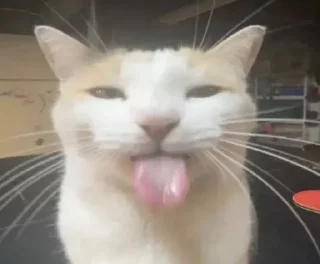 😛