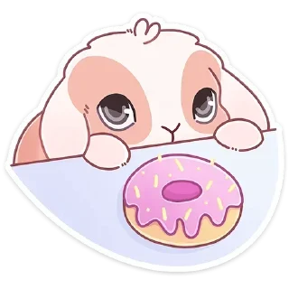 🍩