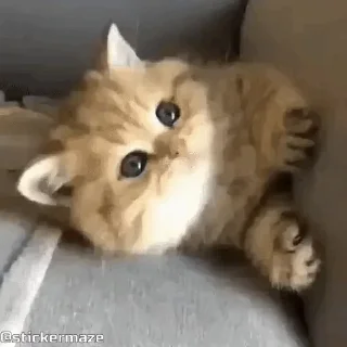 🙄