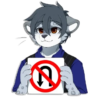 🚫