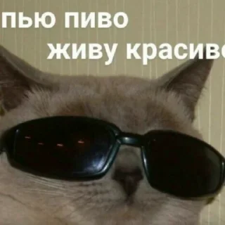😎
