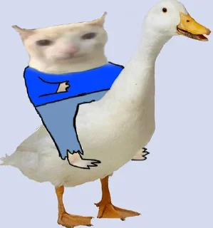 🦆