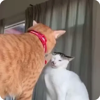 😡
