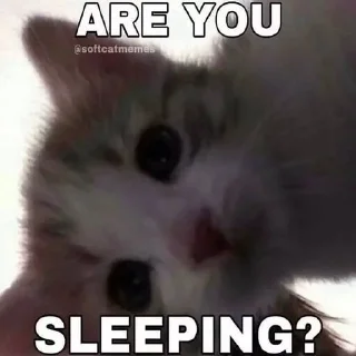 🥺