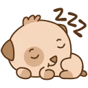 💤