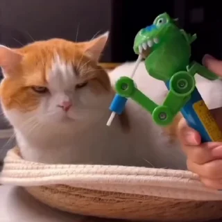 😡