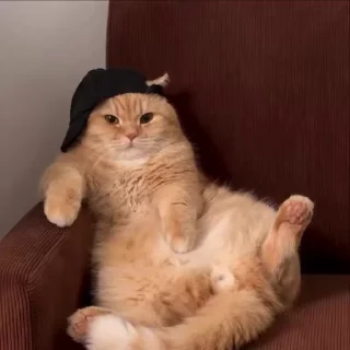 🧢