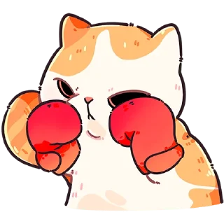 🥊