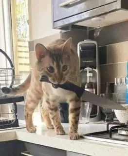 🔪