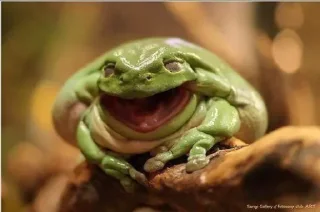 😆