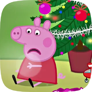 🐷