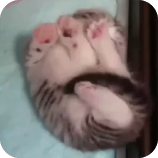 😴