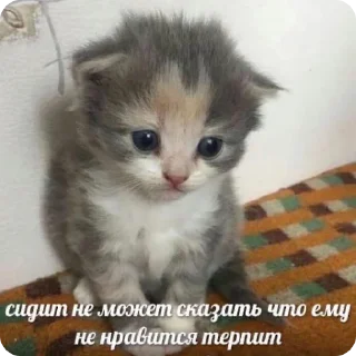 👎